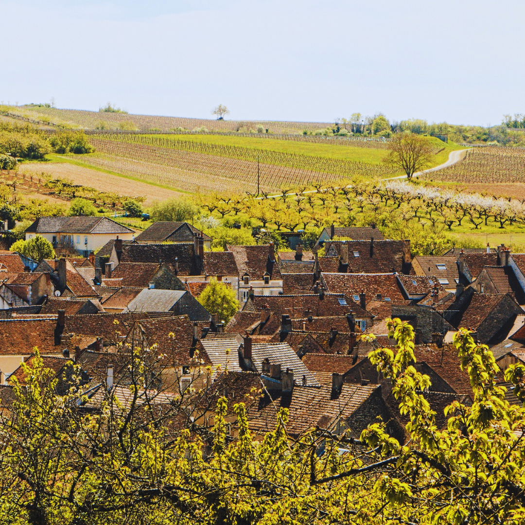 Masterclass Borgoña vs. Burdeos: El Gran Duelo del Vino Francés con Ferran Centelles
