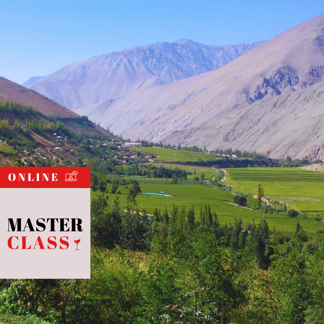 Masterclass Online “Limarí: entre el mar y el desierto” con Marcelo Papa