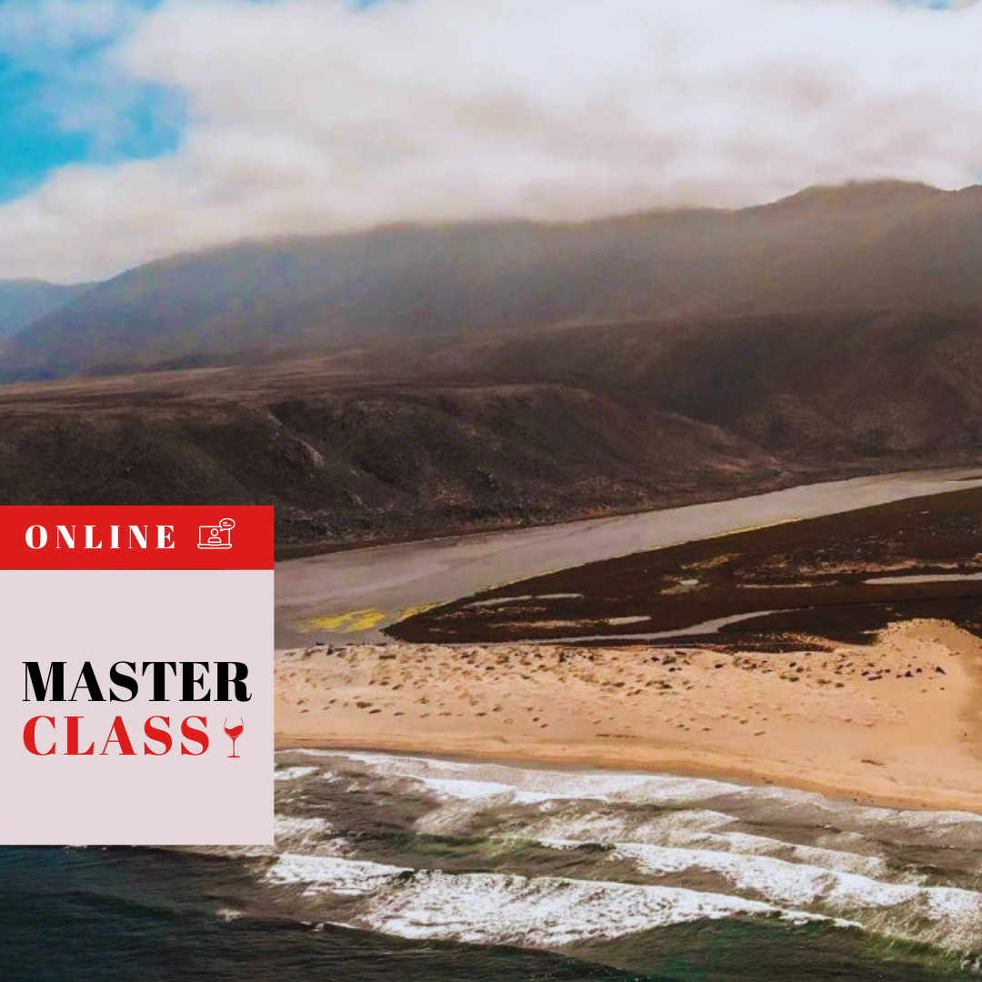 Masterclass Online “Limarí: entre el mar y el desierto” con Marcelo Papa