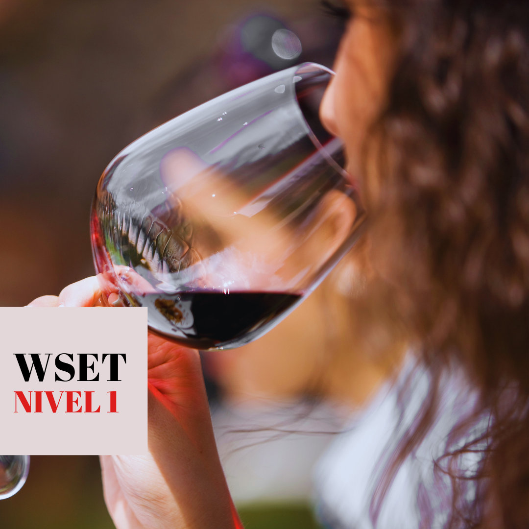Curso Colombia: Nivel 1 en vinos WSET®