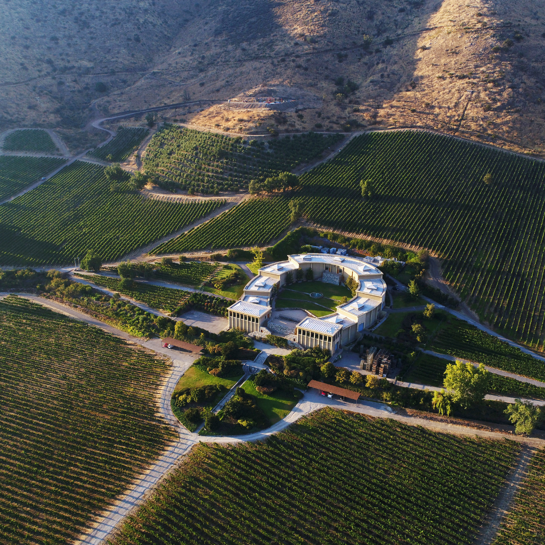 Masterclass en Terreno: Crea tu propia mezcla en Haras de Pirque junto a Cecilia Guzmán