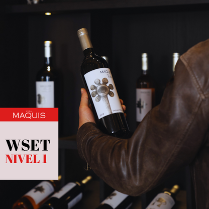 Curso Chile: Nivel 1 en Vinos WSET - Edición Exclusiva en Viña Maquis - Colchagua
