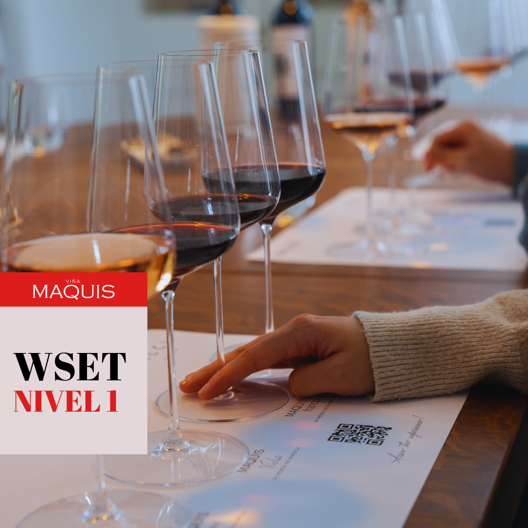 Curso Chile: Nivel 1 en Vinos WSET - Edición Exclusiva en Viña Maquis - Colchagua