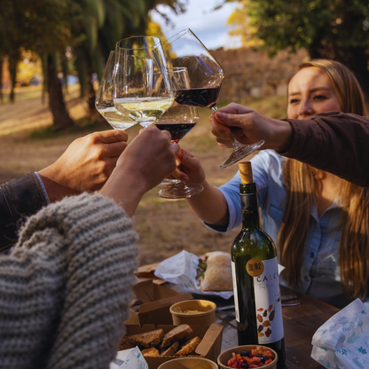 Curso Chile: Nivel 1 en Vinos WSET - Edición Exclusiva en Viña Maquis - Colchagua