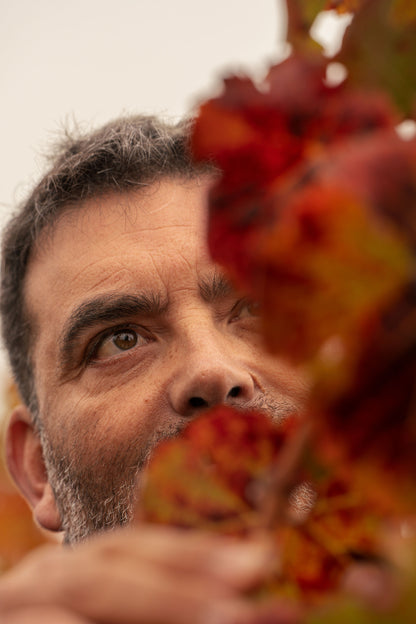Masterclass Exclusiva: El Terroir de Peumo y sus secretos con Marcio Ramírez