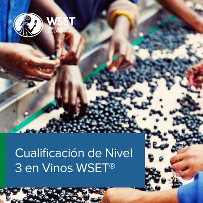 Curso Chile: Nivel 3 en vinos WSET®