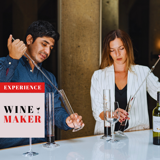 Masterclass en Terreno: Crea tu propia mezcla en Haras de Pirque junto a Cecilia Guzmán
